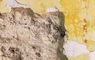 Top Stucco Repair and Replacement Services Near Me – Why Homeowners Trust CDP Stucco