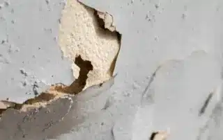 stucco damage repair near me