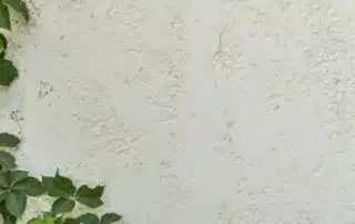 How Exterior Stucco Contractors in Florida Can Transform Your Homes Curb Appeal