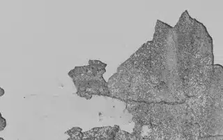 Top Signs You Need a Stucco Repair Contractor Near Me—And How to Choose the Best in Florida