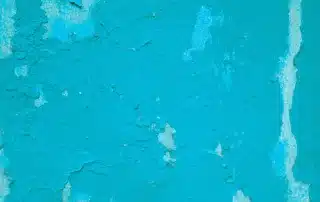 Stucco Moisture Damage_ What Every Florida Homeowner Should Know