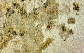 A worker repairing stucco wall damage outside a house.